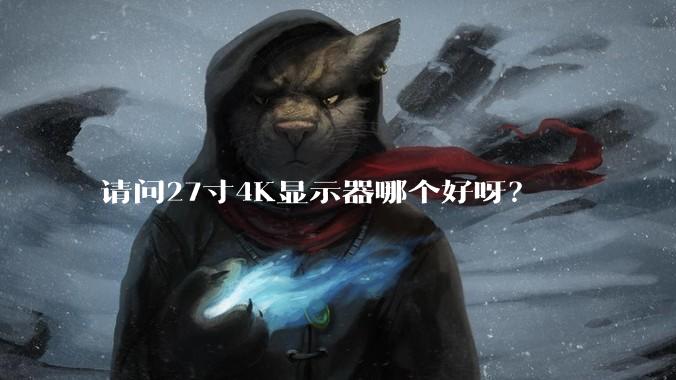 请问27寸4K显示器哪个好呀？