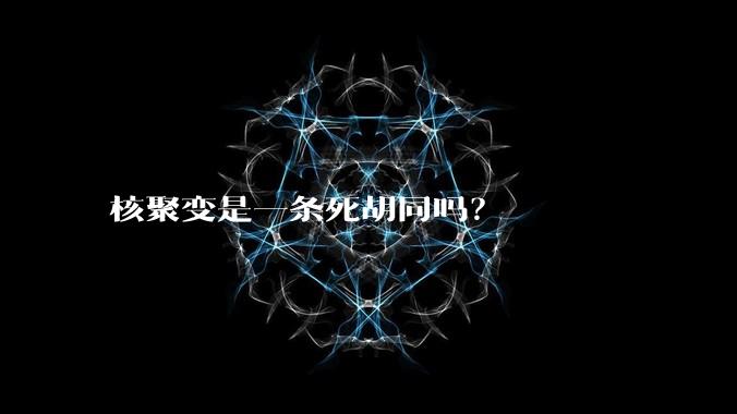 核聚变是一条死胡同吗？